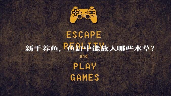 新手养鱼，鱼缸中能放入哪些水草？