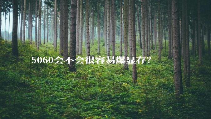 5060会不会很容易爆显存？
