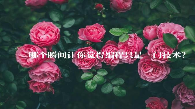 哪个瞬间让你觉得编程只是一门技术？