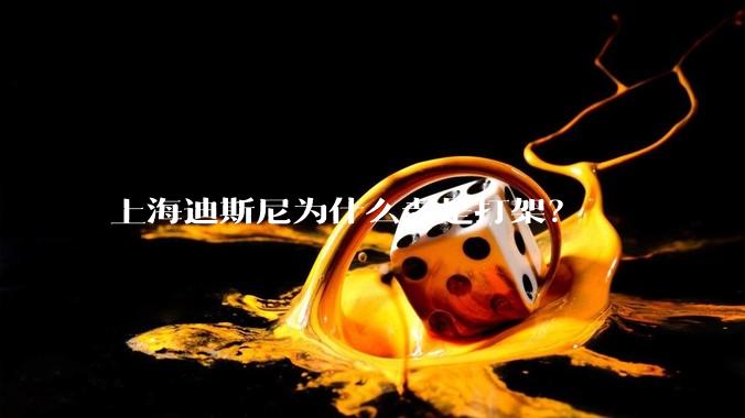 上海迪斯尼为什么老是打架？