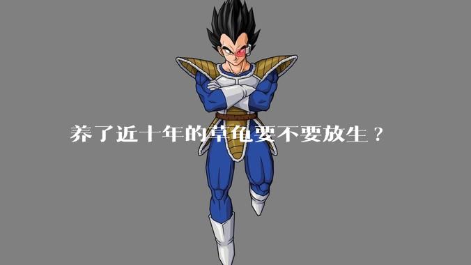 养了近十年的草龟要不要放生?
