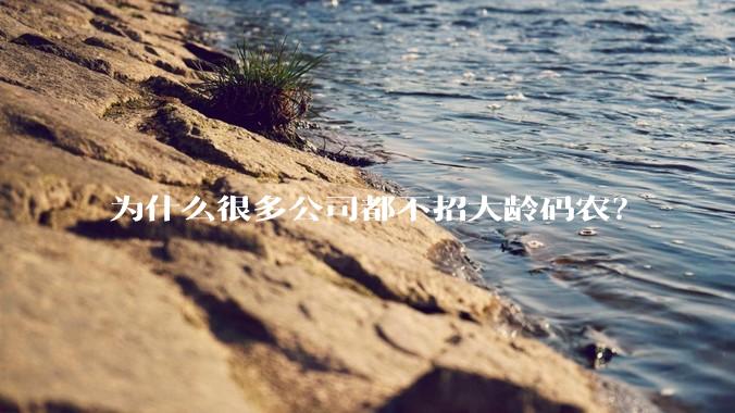 为什么很多公司都不招大龄码农？