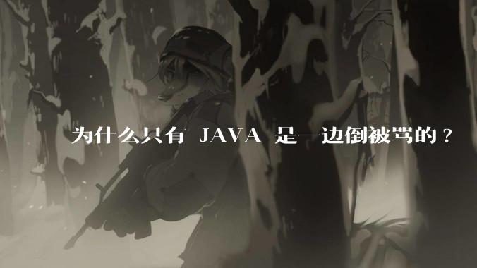 为什么只有 JAVA 是一边倒被骂的?