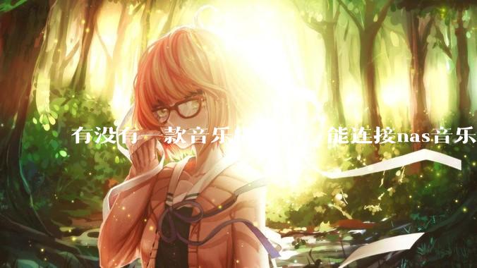 有没有一款音乐播放器，能连接nas音乐，创建音乐库，自动匹配歌词封面等等？类似infuse的概念呢？