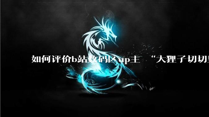 如何评价b站数码区up主 “大狸子切切里”?