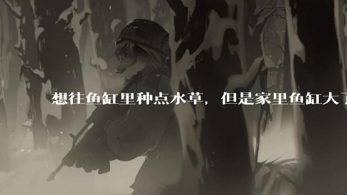 想往鱼缸里种点水草，但是家里鱼缸大了买水草泥或者底砂太贵了，有没有生活中可以替代的物品或其他建议？