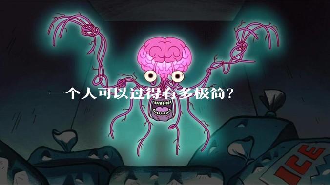 一个人可以过得有多极简？