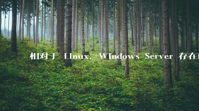 相对于 Linux，Windows Server 存在的意义是什么？
