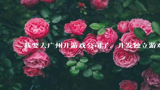 我要去广州开游戏公司了，开发独立游戏！有什么可以叮嘱我的吗？