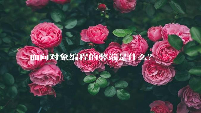 面向对象编程的弊端是什么？