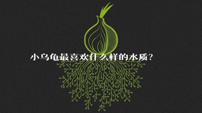 小乌龟最喜欢什么样的水质？