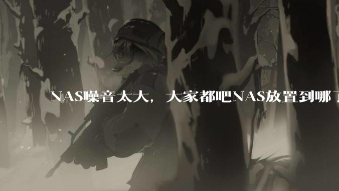 NAS噪音太大，大家都吧NAS放置到哪了？