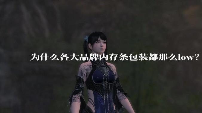 为什么各大品牌内存条包装都那么low？