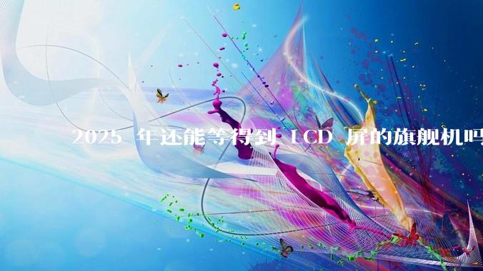 2025 年还能等得到 LCD 屏的旗舰机吗？