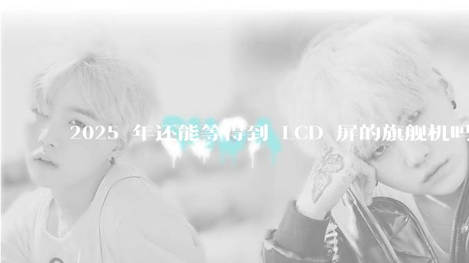 2025 年还能等得到 LCD 屏的旗舰机吗？