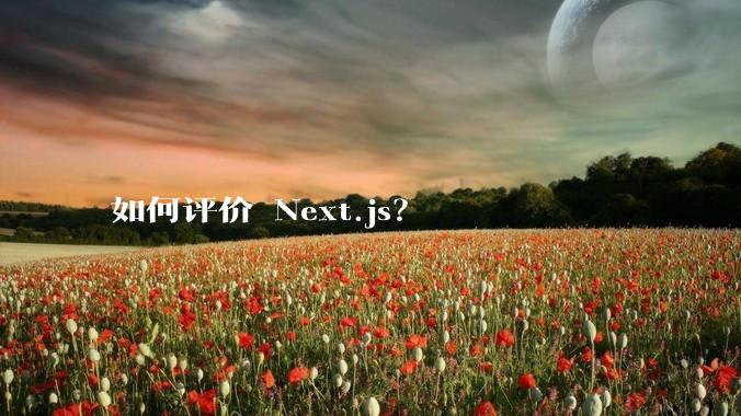 如何评价 Next.js？