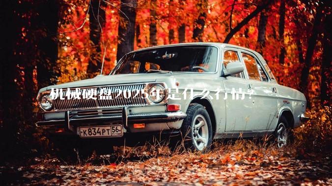 机械硬盘2025年是什么行情？