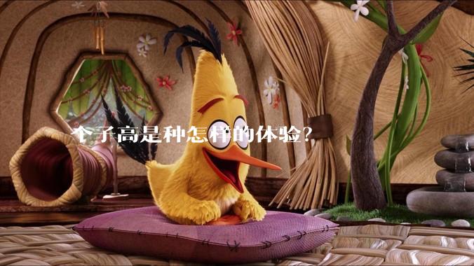 个子高是种怎样的体验？
