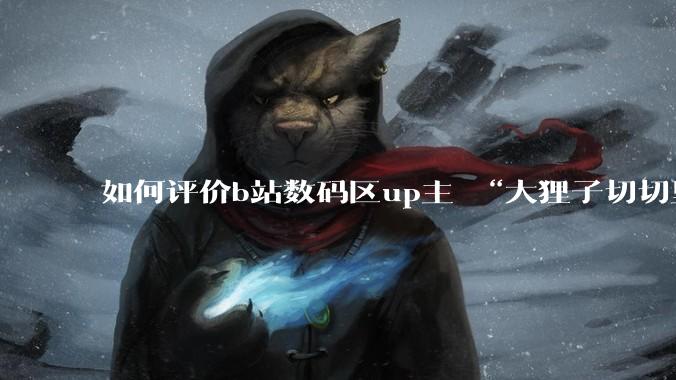 如何评价b站数码区up主 “大狸子切切里”?