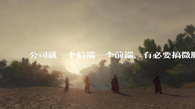 公司就一个后端一个前端，有必要搞微服务吗？