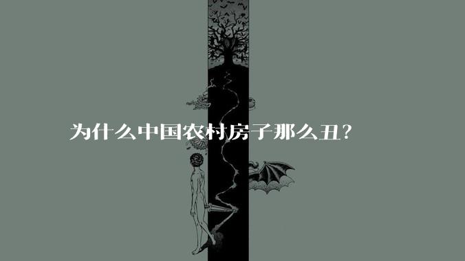 为什么中国农村房子那么丑？