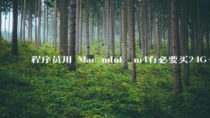 程序员用 Mac mini  m4有必要买24G+的吗(非主力机)?