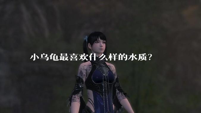 小乌龟最喜欢什么样的水质？