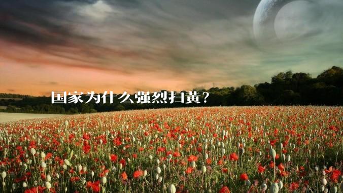 国家为什么强烈扫黄？