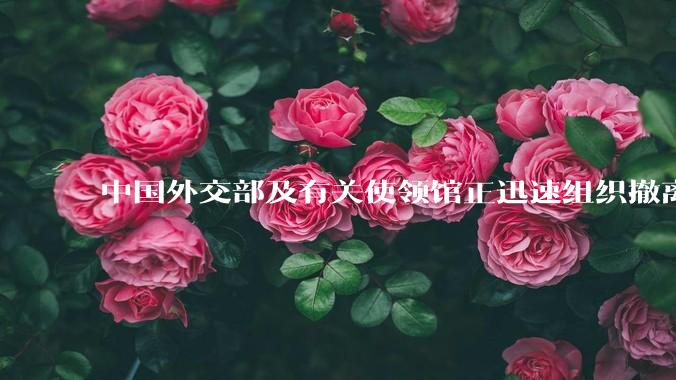 中国外交部及有关使领馆正迅速组织撤离在以、伊的中国公民，目前当地情况如何？