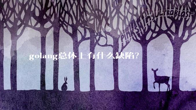 golang总体上有什么缺陷？