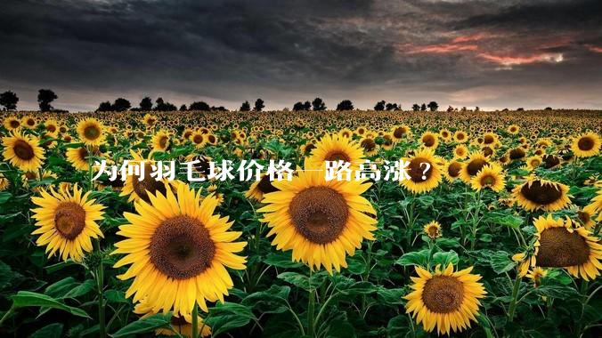 为何羽毛球价格一路高涨?
