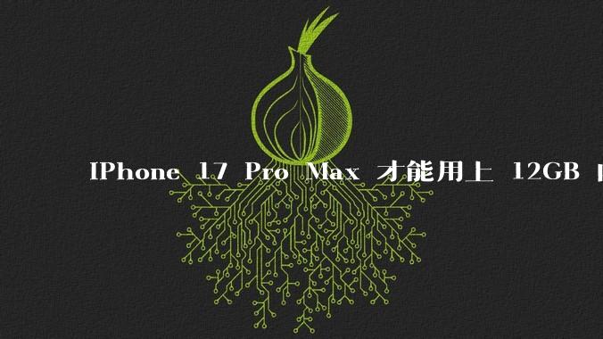 iPhone 17 Pro Max 才能用上 12GB 内存，你认为苹果是否在内存上「挤牙膏」？