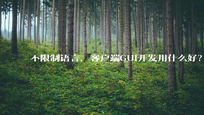 不限制语言，客户端GUI开发用什么好？