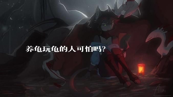 养龟玩龟的人可怕吗？
