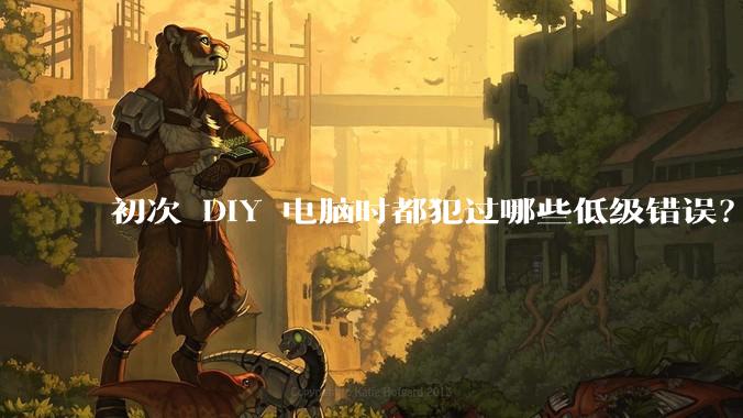 初次 DIY 电脑时都犯过哪些低级错误？