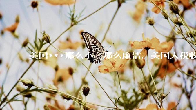 美国***那么小，那么廉洁，美国人税收又那么高，为什么还有财政赤字？