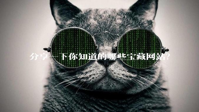 分享一下你知道的哪些宝藏网站？