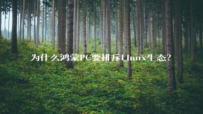 为什么鸿蒙PC要排斥Linux生态？