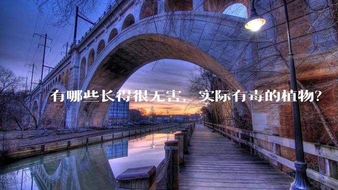 有哪些长得很无害，实际有毒的植物？