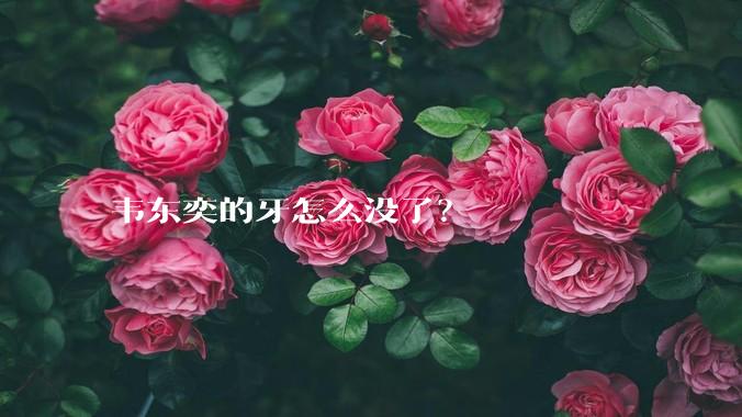 韦东奕的牙怎么没了？