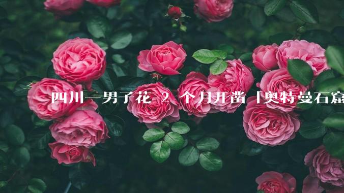 四川一男子花 2 个月开凿「奥特曼石窟」，当地称将调查核实，私人能挖洞开凿石窟雕刻石像吗？合法吗？