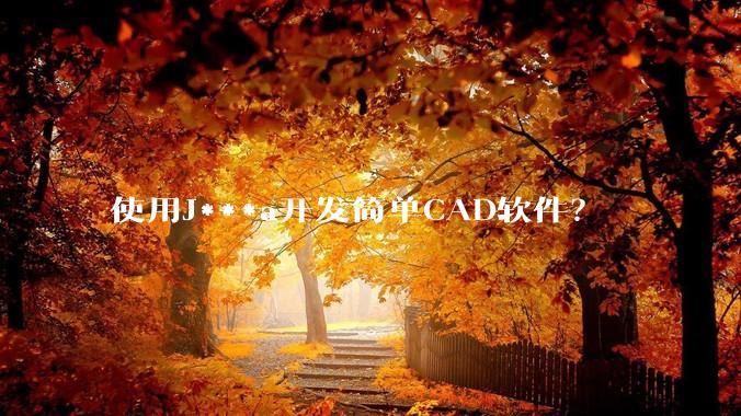 使用J***a开发简单CAD软件？