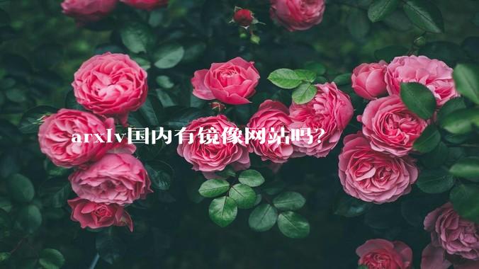 arxiv国内有镜像网站吗？