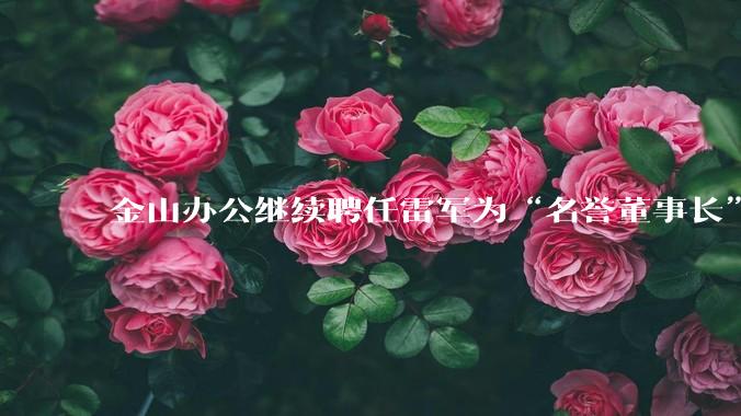 金山办公继续聘任雷军为“名誉董事长”，但不享权利、不担义务、不领薪酬，这个头衔的实际意义是什么？