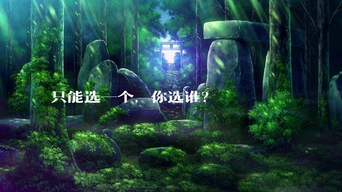 只能选一个，你选谁？