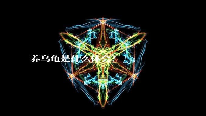 养乌龟是什么体会？