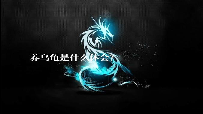 养乌龟是什么体会？
