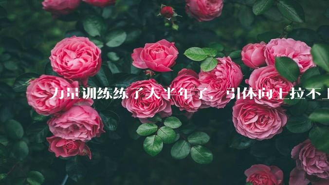 力量训练练了大半年了，引体向上拉不上去，是怎么回事？