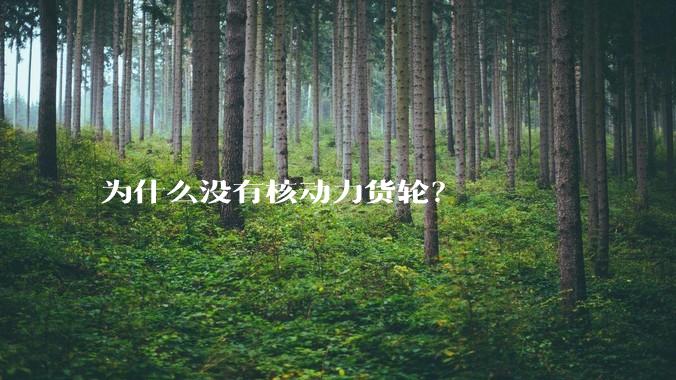 为什么没有核动力货轮？