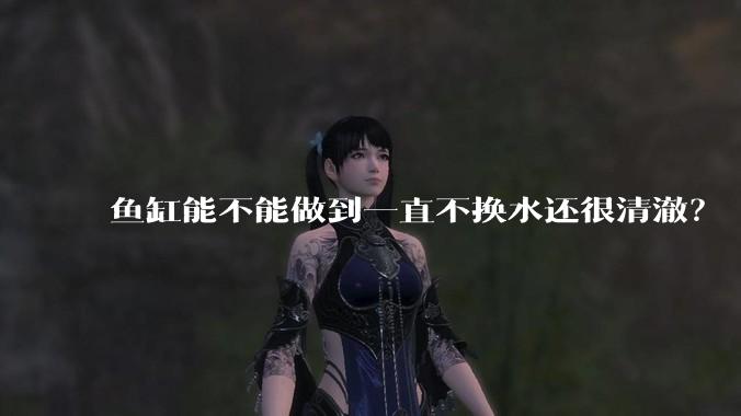鱼缸能不能做到一直不换水还很清澈？